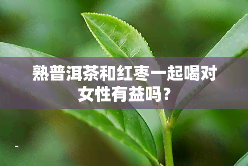 熟普洱茶和红枣一起喝对女性有益吗？