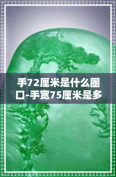 手72厘米是什么圈口-手宽75厘米是多大圈口