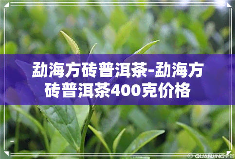 勐海方砖普洱茶-勐海方砖普洱茶400克价格