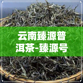 云南臻源普洱茶-臻源号普洱茶