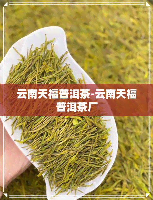 云南天福普洱茶-云南天福普洱茶厂