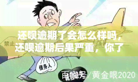 还呗逾期了会怎么样吗，还呗逾期后果严重，你了解吗？