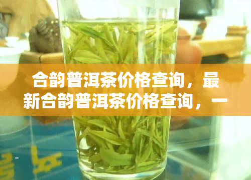 合韵普洱茶价格查询，最新合韵普洱茶价格查询，一网打尽！