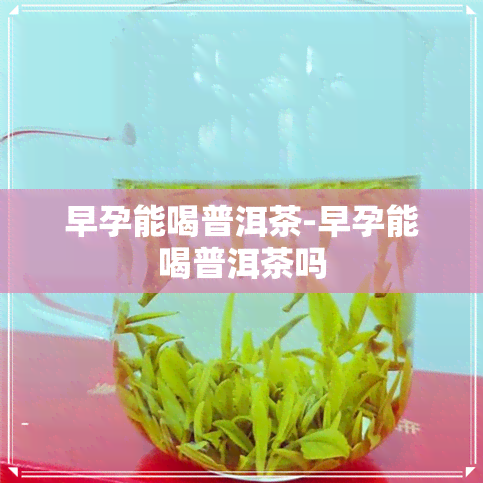 早孕能喝普洱茶-早孕能喝普洱茶吗