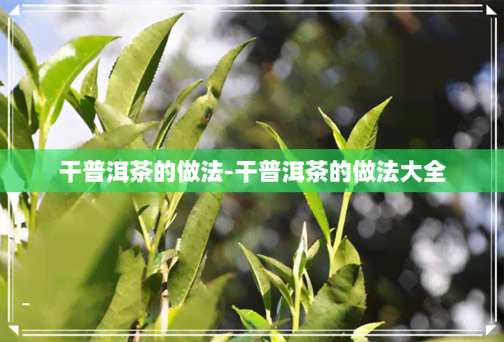 干普洱茶的做法-干普洱茶的做法大全