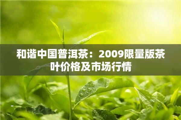 和谐中国普洱茶：2009限量版茶叶价格及市场行情