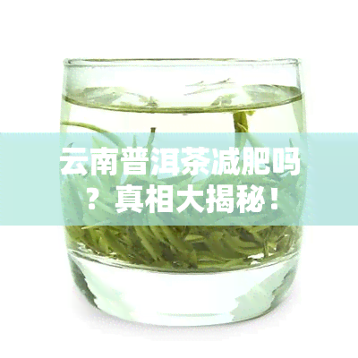 云南普洱茶减肥吗？真相大揭秘！