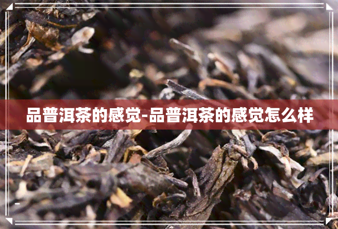 品普洱茶的感觉-品普洱茶的感觉怎么样