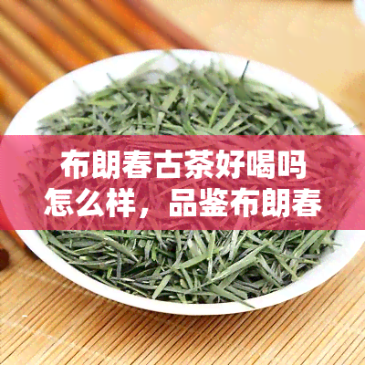 布朗春古茶好喝吗怎么样，品鉴布朗春古茶：口感如何，值得尝试吗？