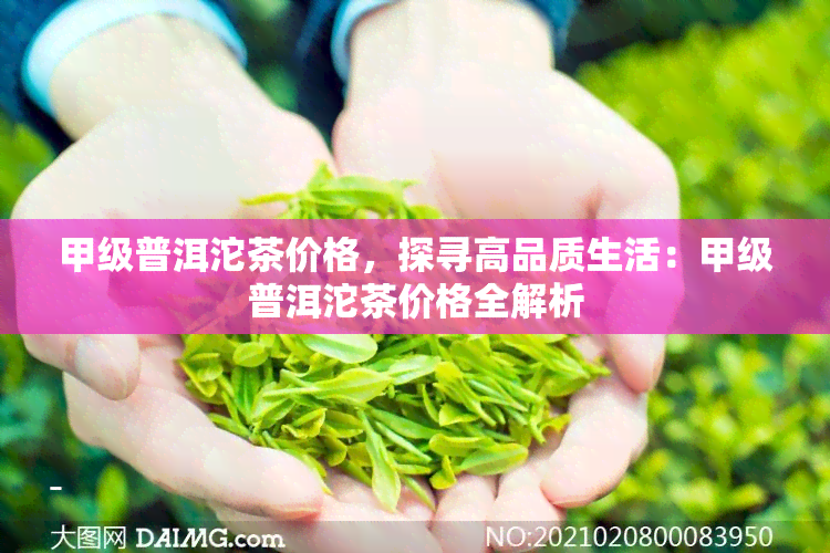 甲级普洱沱茶价格，探寻高品质生活：甲级普洱沱茶价格全解析