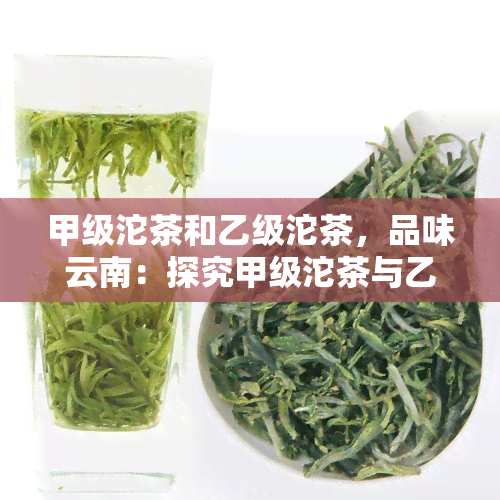 甲级沱茶和乙级沱茶，品味云南：探究甲级沱茶与乙级沱茶的口感差异