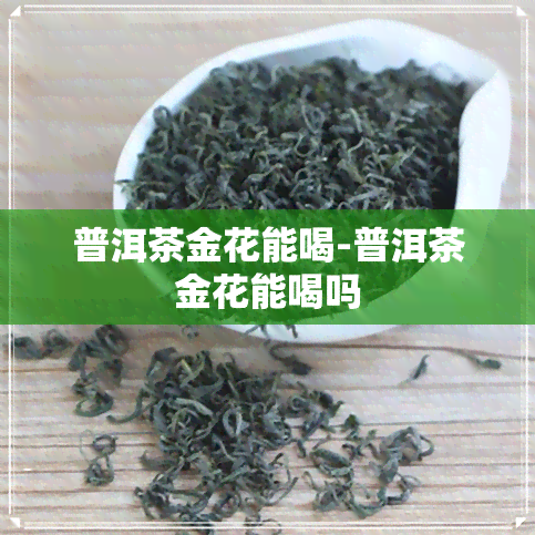 普洱茶金花能喝-普洱茶金花能喝吗