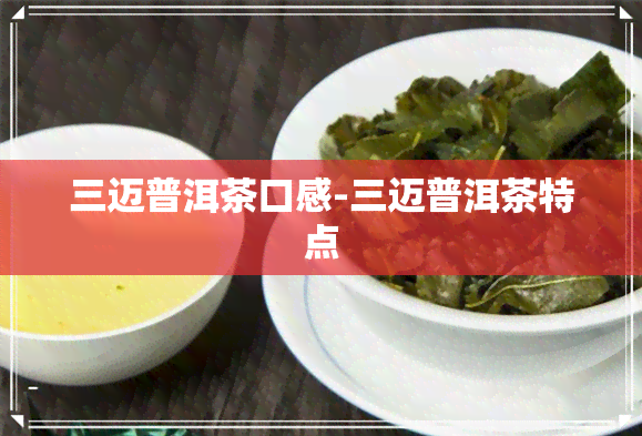 三迈普洱茶口感-三迈普洱茶特点