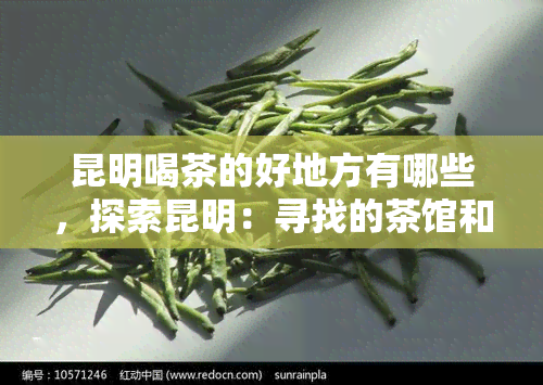 昆明喝茶的好地方有哪些，探索昆明：寻找的茶馆和品茗胜地