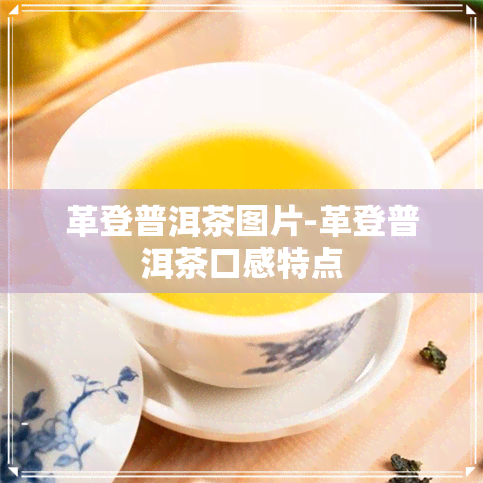 革登普洱茶图片-革登普洱茶口感特点