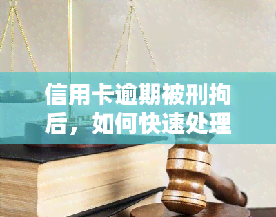 信用卡逾期被刑拘后，如何快速处理？