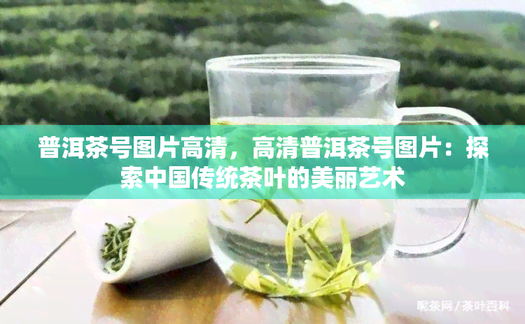 普洱茶号图片高清，高清普洱茶号图片：探索中国传统茶叶的美丽艺术