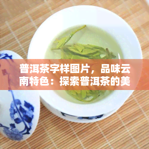 普洱茶字样图片，品味云南特色：探索普洱茶的美妙世界！