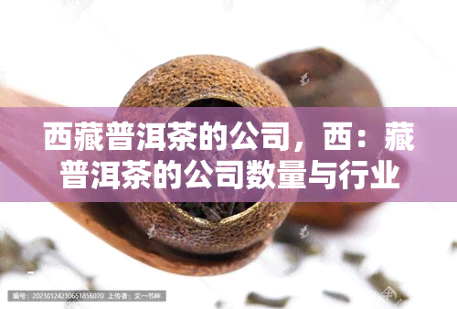  *** 普洱茶的公司，西：藏普洱茶的公司数量与行业发展现状