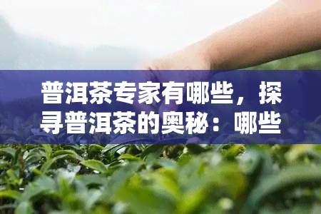 普洱茶专家有哪些，探寻普洱茶的奥秘：哪些人是真正的普洱茶专家？