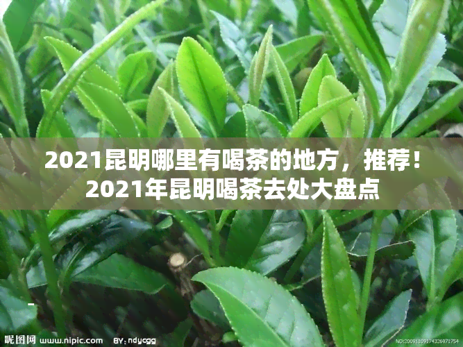 2021昆明哪里有喝茶的地方，推荐！2021年昆明喝茶去处大盘点