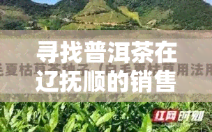 寻找普洱茶在辽抚顺的销售点？这里为您解答！