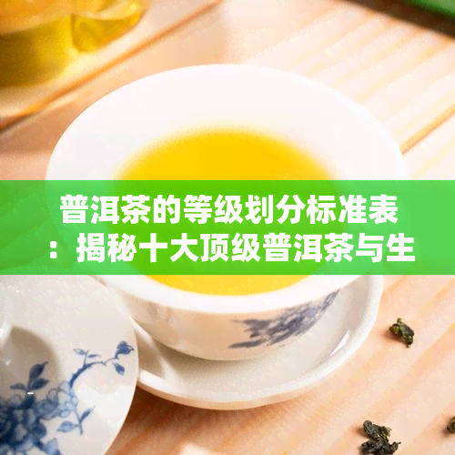 普洱茶的等级划分标准表：揭秘十大顶级普洱茶与生熟茶的区别