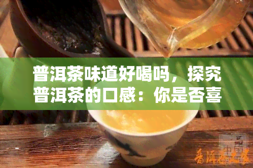 普洱茶味道好喝吗，探究普洱茶的口感：你是否喜欢它的独特风味？