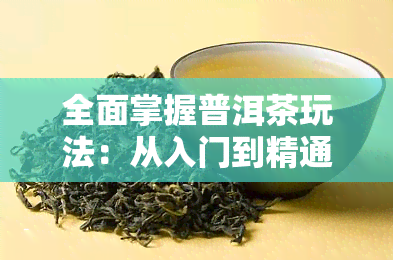 全面掌握普洱茶玩法：从入门到精通