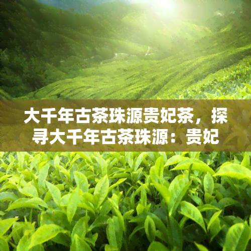 大千年古茶珠源贵妃茶，探寻大千年古茶珠源：贵妃茶的神秘之旅