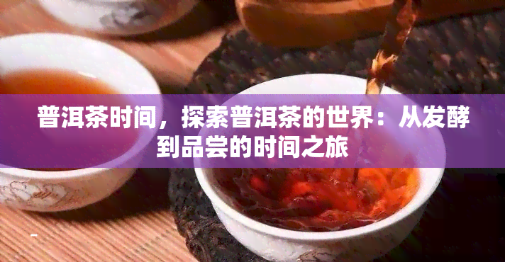 普洱茶时间，探索普洱茶的世界：从发酵到品尝的时间之旅