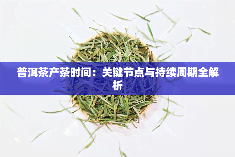 普洱茶产茶时间：关键节点与持续周期全解析