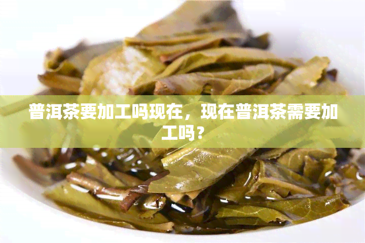 普洱茶要加工吗现在，现在普洱茶需要加工吗？