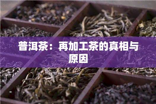 普洱茶：再加工茶的真相与原因