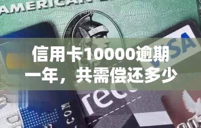 信用卡10000逾期一年，共需偿还多少？逾期一天利息多少？