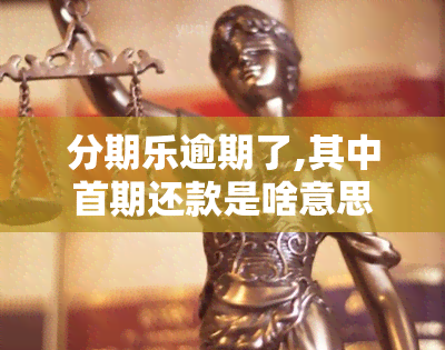 分期乐逾期了,其中首期还款是啥意思，什么是分期乐首期还款？——解决逾期问题的关键步骤