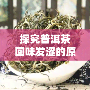 探究普洱茶回味发涩的原因：影响因素及解决方法