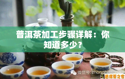 普洱茶加工步骤详解：你知道多少？