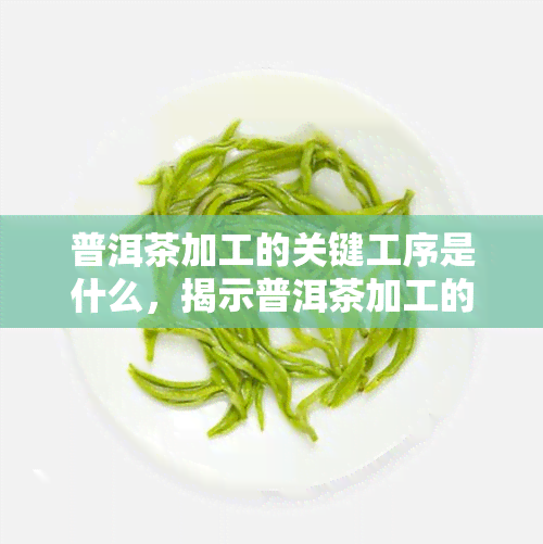 普洱茶加工的关键工序是什么，揭示普洱茶加工的核心：关键工序解析