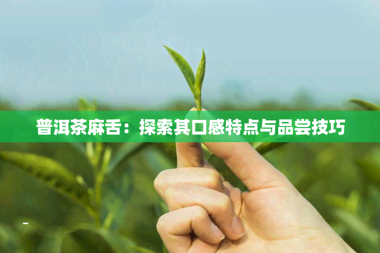 普洱茶麻舌：探索其口感特点与品尝技巧