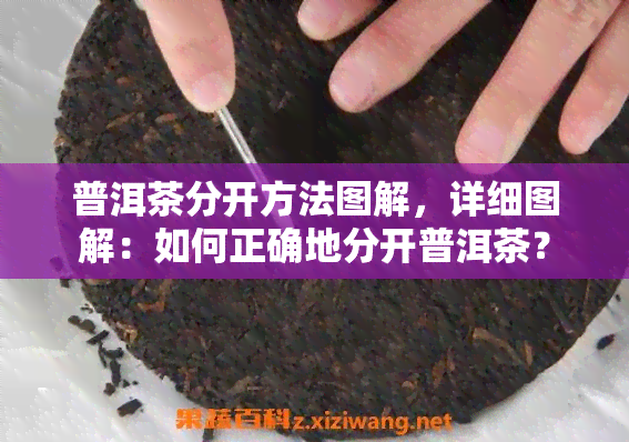 普洱茶分开方法图解，详细图解：如何正确地分开普洱茶？