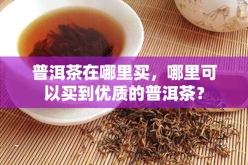 普洱茶在哪里买，哪里可以买到优质的普洱茶？