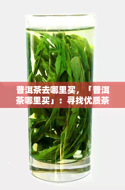 普洱茶去哪里买，「普洱茶哪里买」：寻找优质茶叶的完美指南