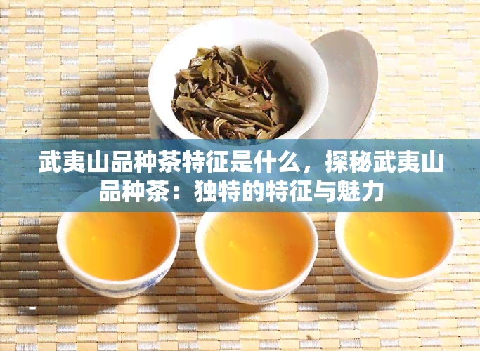 武夷山品种茶特征是什么，探秘武夷山品种茶：独特的特征与魅力