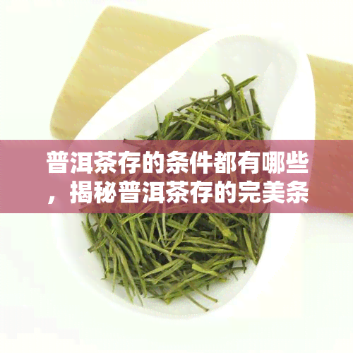 普洱茶存的条件都有哪些，揭秘普洱茶存的完美条件