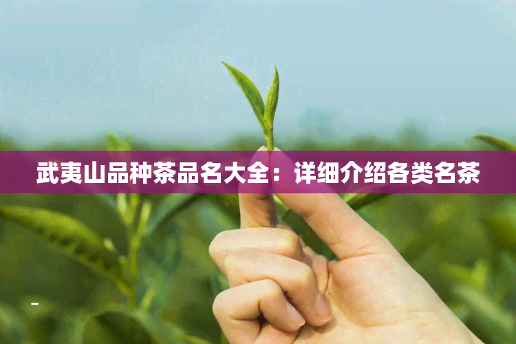 武夷山品种茶品名大全：详细介绍各类名茶