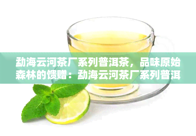 勐海云河茶厂系列普洱茶，品味原始森林的馈赠：勐海云河茶厂系列普洱茶