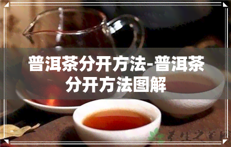 普洱茶分开方法-普洱茶分开方法图解