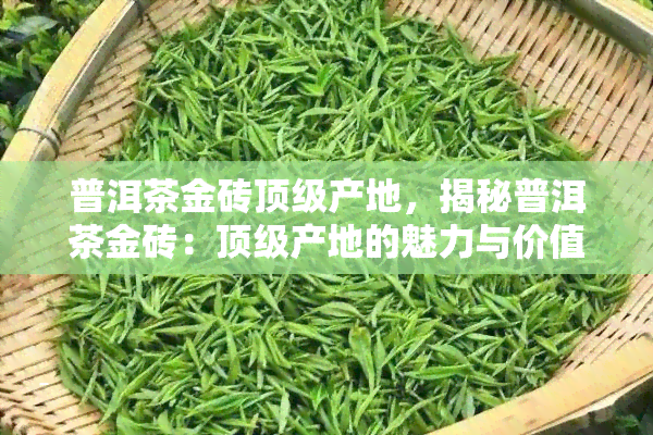 普洱茶金砖顶级产地，揭秘普洱茶金砖：顶级产地的魅力与价值