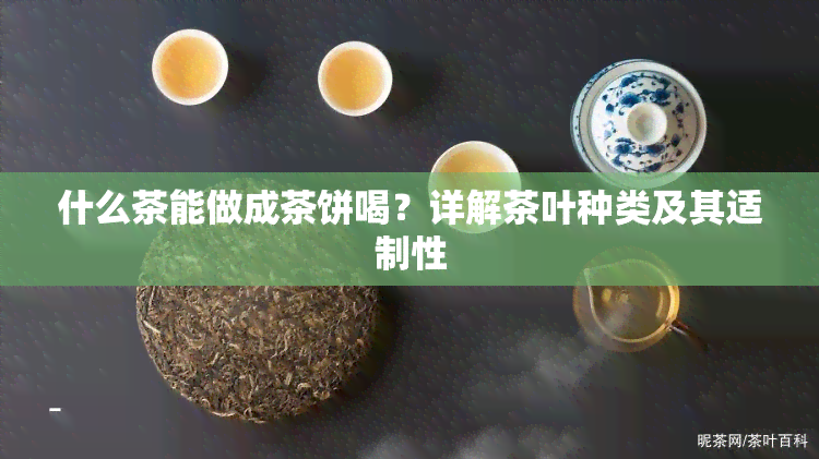 什么茶能做成茶饼喝？详解茶叶种类及其适制性